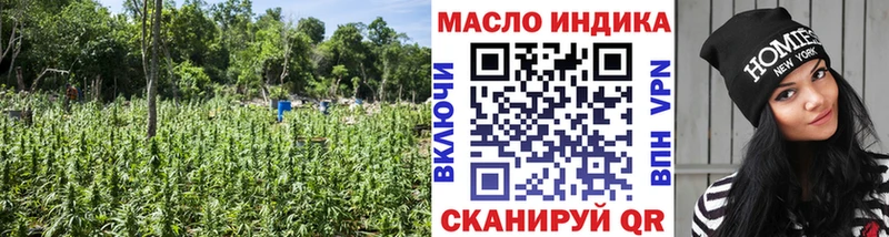 Купить где  Черноголовка  Дистиллят ТГК THC oil 