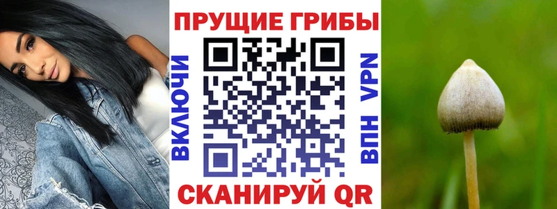 Галлюциногенные грибы мухоморы Черноголовка