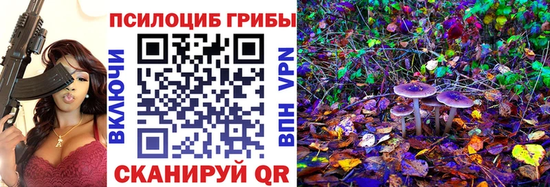 Галлюциногенные грибы Cubensis  Купить  Черноголовка 